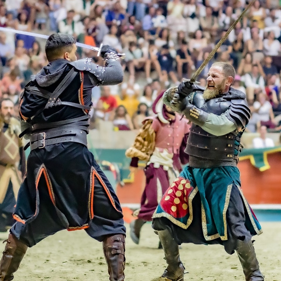 TORNEO DE CABALEIROS