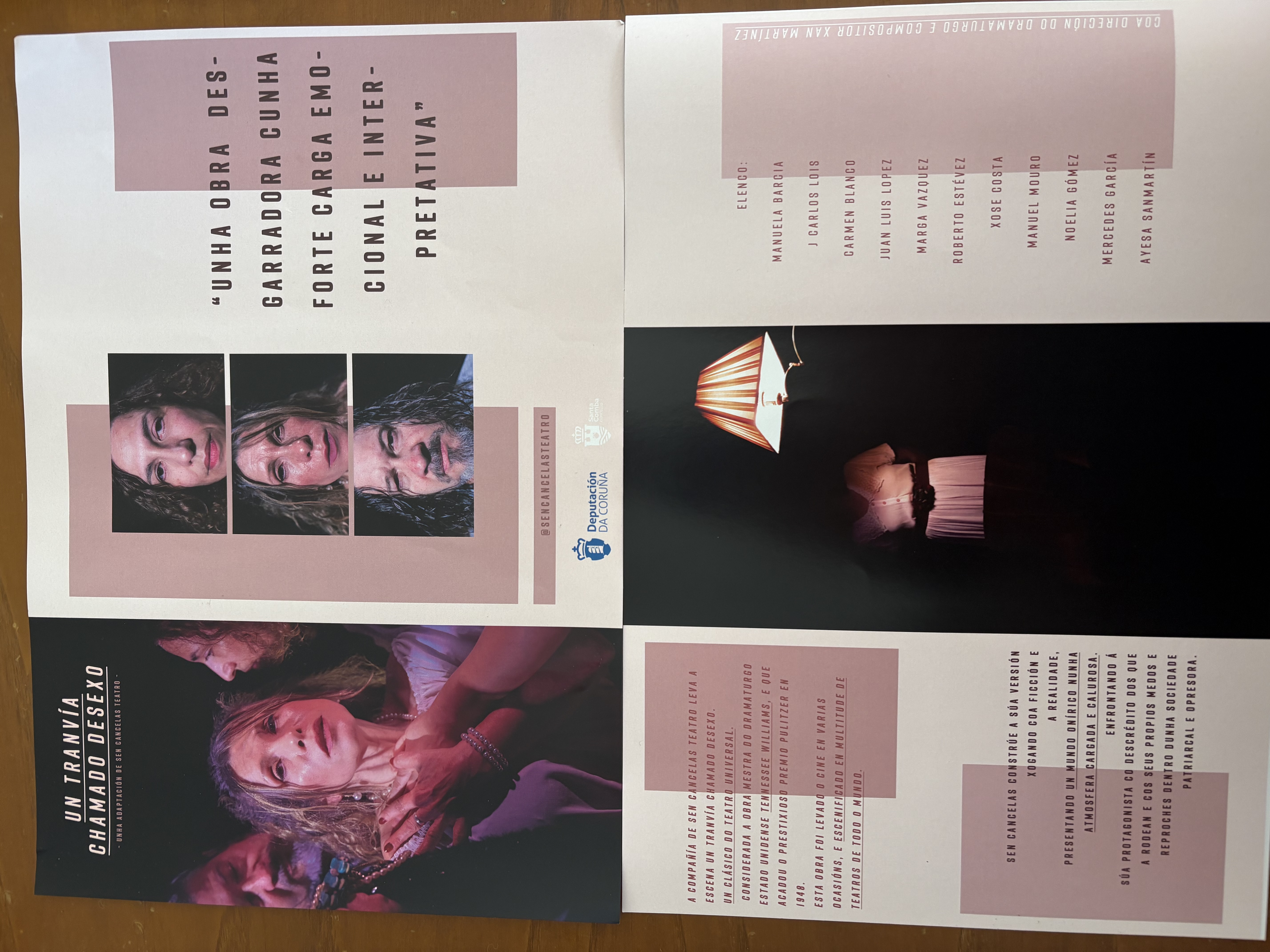 Un tranvía chamado desexo